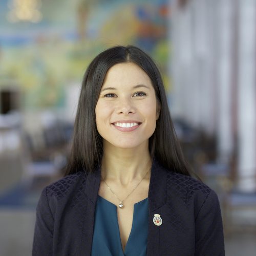 Lan Marie Nguyen Berg